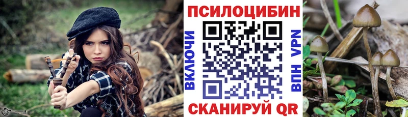 Галлюциногенные грибы Psilocybe Льгов